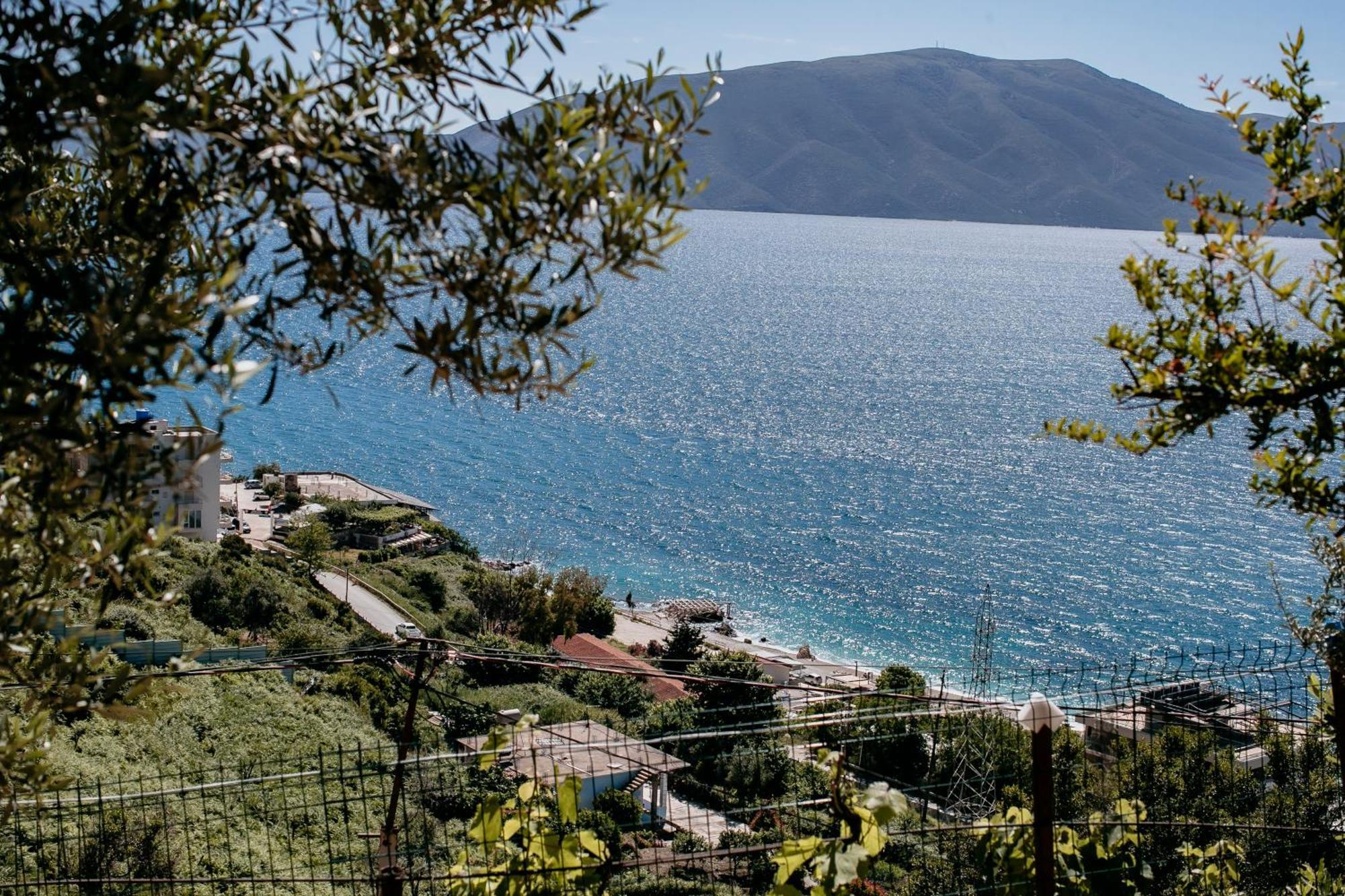 Villa Del Mar Vlorë Extérieur photo