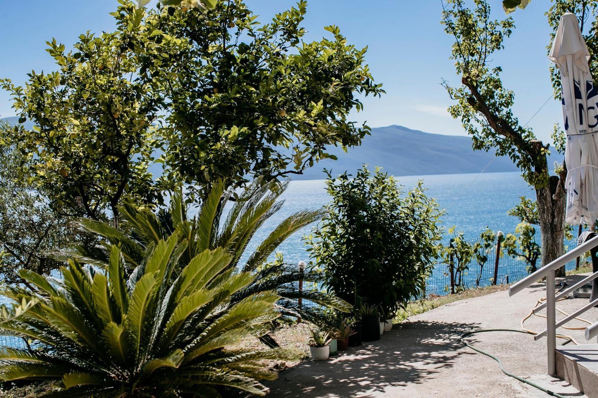 Villa Del Mar Vlorë Extérieur photo