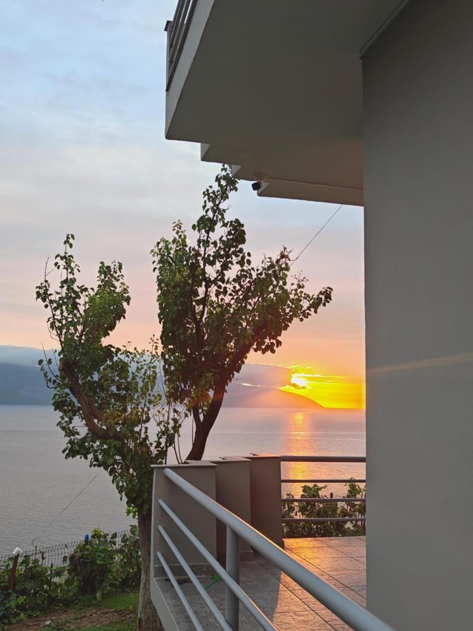 Villa Del Mar Vlorë Extérieur photo
